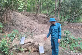 Gia Lai ghi nhận 1 trường hợp nhiễm vi khuẩn gây bệnh Whitmore