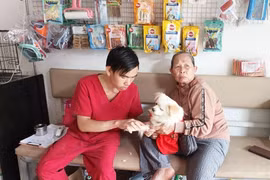 Gia Lai tập trung thực hiện phòng- chống bệnh Dại