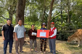 Hội Chữ thập đỏ tỉnh Gia Lai hỗ trợ sinh kế cho các hộ nghèo, khó khăn