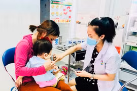 Gia Lai: Liên tiếp tử vong do bệnh dại, người dân lo ngại ổ dịch chó dại trong cộng đồng