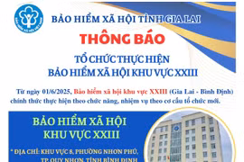 Bảo hiểm xã hội khu vực XXIII Gia Lai-Bình Định thực hiện chức năng, nhiệm vụ theo cơ cấu tổ chức mới từ ngày 1-6-2025