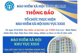 Bảo hiểm xã hội khu vực XXIII Gia Lai-Bình Định thực hiện chức năng, nhiệm vụ theo cơ cấu tổ chức mới từ ngày 1-6-2025