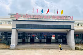 Gia Lai: Bị ong vò vẽ đốt, 1 trẻ tử vong