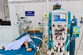 Khẩn cấp khoanh vùng, xử lý tổ ong vò vẽ đốt 1 cháu bé tử vong