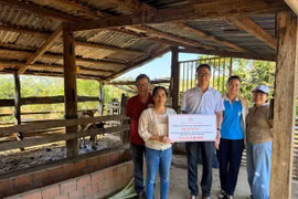 Hội Chữ thập đỏ tỉnh Gia Lai bàn giao bò giống cho hộ nghèo 