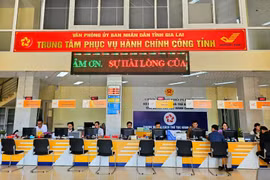 Công bố 10 thủ tục hành chính mới trong lĩnh vực đấu giá tài sản
