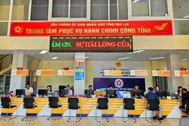 Công bố 10 thủ tục hành chính mới trong lĩnh vực đấu giá tài sản