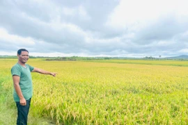 Chư Păh: Giúp đồng bào dân tộc thiểu số trồng lúa chất lượng cao
