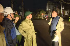 Phó Chủ tịch Thường trực UBND tỉnh Nguyễn Tuấn Thanh kiểm tra công tác khắc phục hậu quả bão số 13 Tại khu vực Nhơn Lý . Ảnh: Xuân Định