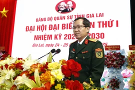 Đại tá Lương Đình Chung - Bí thư Đảng ủy, Chính ủy Quân khu 5, phát biểu tại Đại hội.