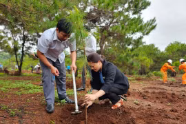 Pleiku công bố hiện trạng rừng năm 2024 
