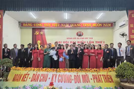 Phù Mỹ Tây cần tập trung phát triển nông nghiệp ứng dụng công nghệ cao 