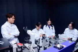 Ảnh minh họa. Nguồn internet