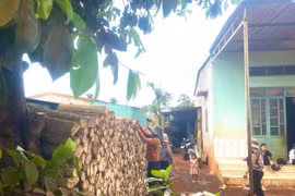 Nét đẹp trong phong tục trữ củi của người Jrai