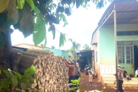 Nét đẹp trong phong tục trữ củi của người Jrai