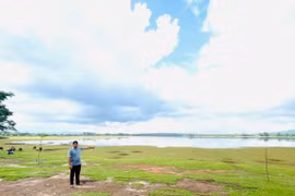 Làng Al nuôi cá gây quỹ xây dựng nông thôn mới