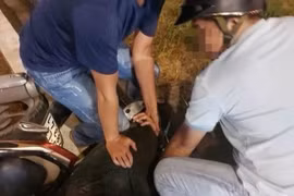 Đồng Nai: Đối tượng giết chủ tiệm tạp hóa bị bắt sau 5 giờ gây án