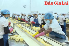 Giá trị mang lại từ chuỗi liên kết sản xuất nông nghiệp 