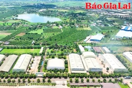 Báo chí Gia Lai đồng hành cùng doanh nghiệp