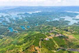 Sáp nhập 3 tỉnh Lâm Đồng - Đắk Nông - Bình Thuận: Khơi dậy tiềm năng kinh tế - du lịch