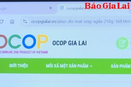 Đưa sản phẩm nông nghiệp lên sàn thương mại điện tử - Cơ hội và thách thức cho nông dân, hợp tác xã