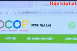 Đưa sản phẩm nông nghiệp lên sàn thương mại điện tử - Cơ hội và thách thức cho nông dân, hợp tác xã