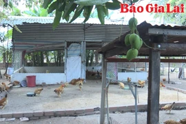 Thay đổi thói quen chăn nuôi nhờ những mô hình “xanh”
