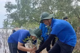 Nổi chìm văn hóa Cù lao - Bài 3: Chuyện cồn Đất cuối dòng Mê Kông