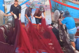 Tình người miền biển: Ấm tình nơi đầu sóng ngọn gió