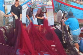 Tình người miền biển: Ấm tình nơi đầu sóng ngọn gió