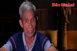 Cây đại thụ ở làng Đăk Giang