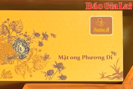 Mật ong Phương Di: Từ sản phẩm địa phương đến OCOP 5 sao cấp quốc gia
