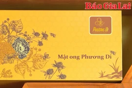 Mật ong Phương Di: Từ sản phẩm địa phương đến OCOP 5 sao cấp quốc gia