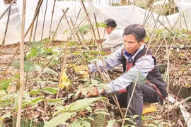 Khẳng định giá trị văn hóa đặc sắc của đại ngàn Ngọc Linh