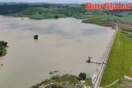 Các địa phương chủ động triển khai công tác ứng phó thiên tai