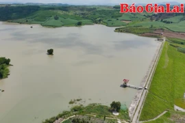 Các địa phương chủ động triển khai công tác ứng phó thiên tai