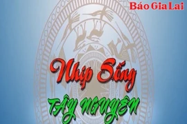 Chương trình Nhịp Sống Tây Nguyên 17-5-2025