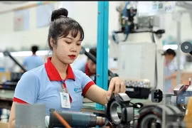 AI tiến sâu vào doanh nghiệp: Kỳ 1: 'Chạm ngõ' AI