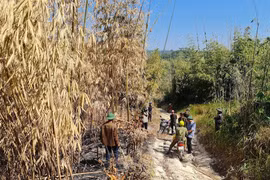 Bất an nghề giữ 'vàng' ở Đắk Nông