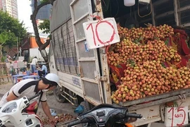 Mùa vải chín