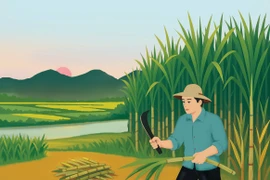 Một thời hương mía…