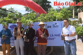 Hỗ trợ nông dân Chư Păh phát triển cà phê bền vững theo hướng giảm phát thải khí nhà kính