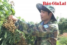 Nông dân thay đổi tư duy - Mở lối phát triển sản xuất bền vững