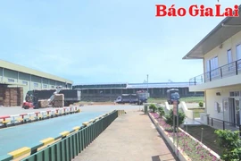 Doanh nghiệp xuất khẩu nông sản tích cực tìm kiếm thị trường mới