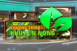 Chuyên mục Khuyến nông Gia Lai 21-5-2025 