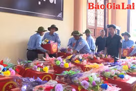 Mệnh lệnh từ trái tim