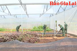 Đồn Biên phòng Cửa khẩu Quốc tế Lệ Thanh: Sôi nổi các hoạt động thi đua chào mừng Kỷ niệm 50 năm ngày truyền thống đơn vị