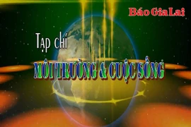 Chuyên mục Môi trường và cuộc sống 6-6-2025