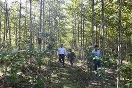 Người Xơ Đăng thay đổi từ nhận thức đến hành động