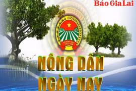 Chuyên mục Nông dân ngày nay 19-6-2025
